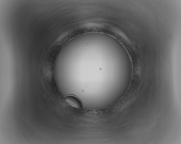X0000113860869200909241306