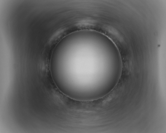 X0000113860870200909241306