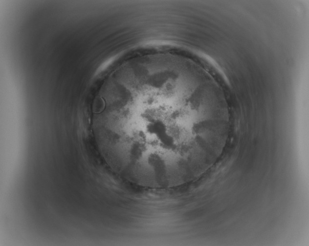 X0000113860871200909241306