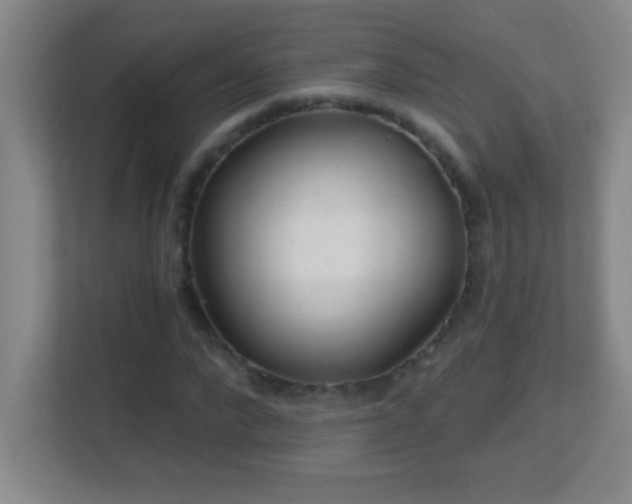X0000113860872200909241306