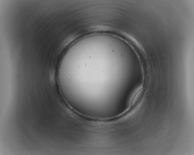 X0000113860873200909241306