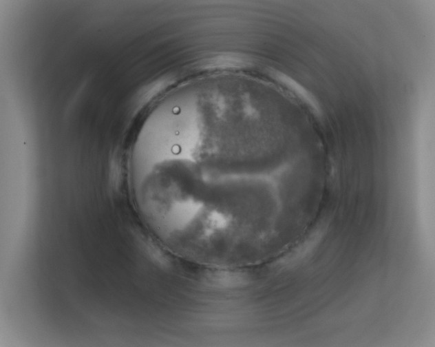 X0000113860874200909241306