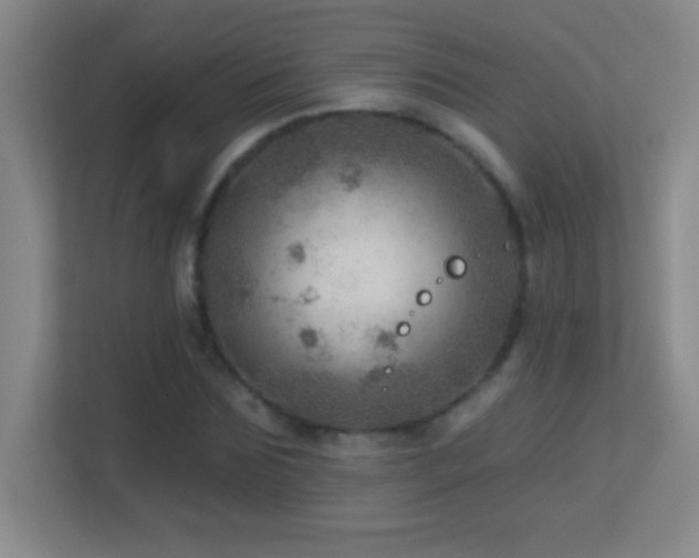 X0000113860875200909241306