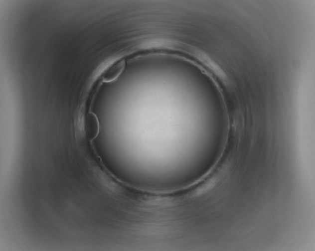X0000113860877200909241306