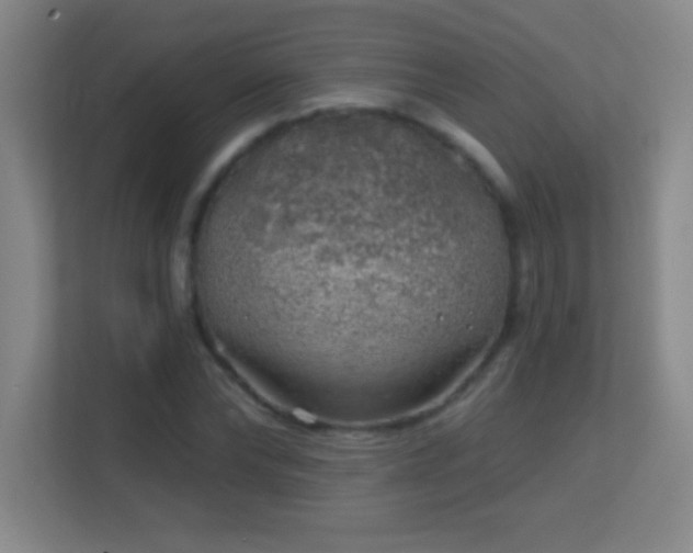 X0000113860878200909241306