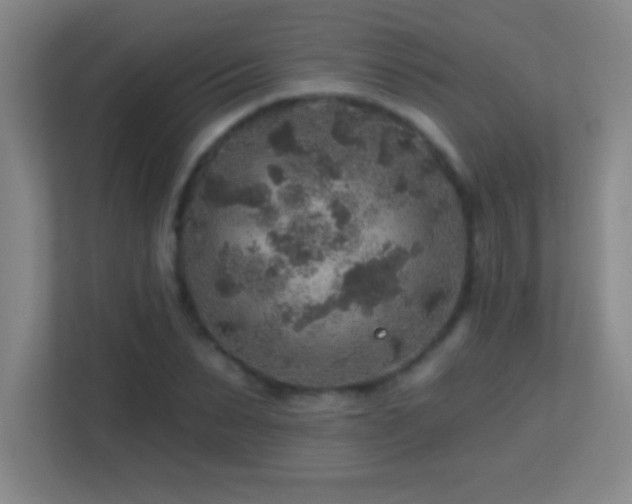 X0000113860879200909241306
