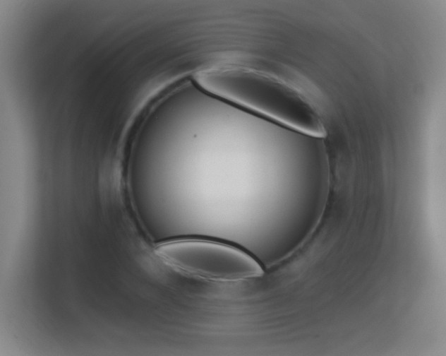 X0000113860880200909241306