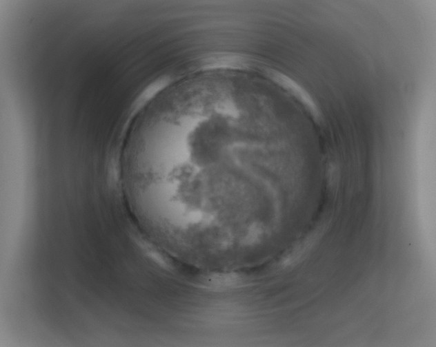X0000113860882200909241306