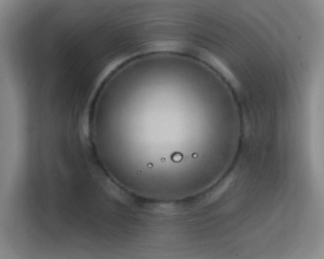 X0000113860883200909241306