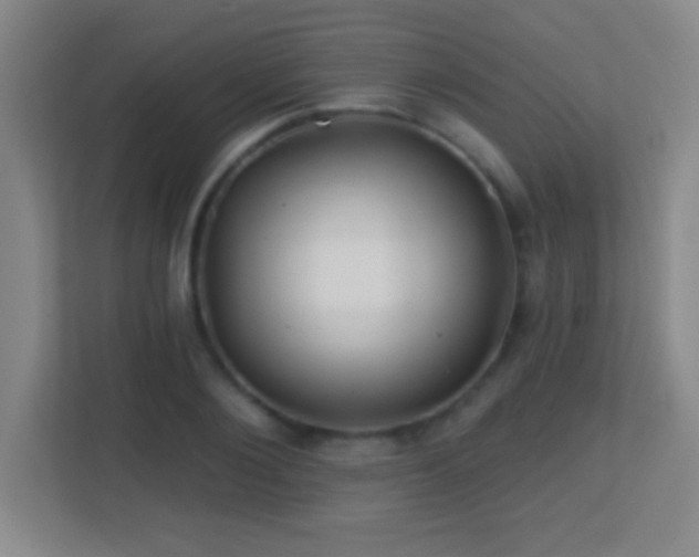 X0000113860884200909241305