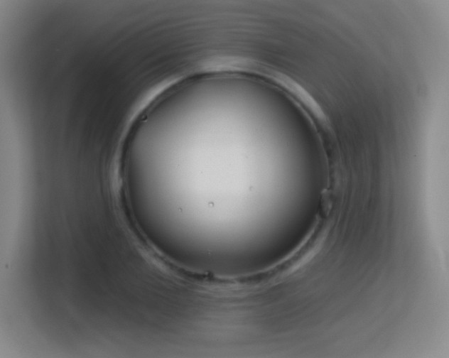 X0000113860885200909241305
