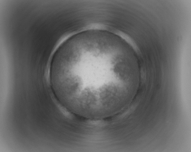 X0000113860886200909241305