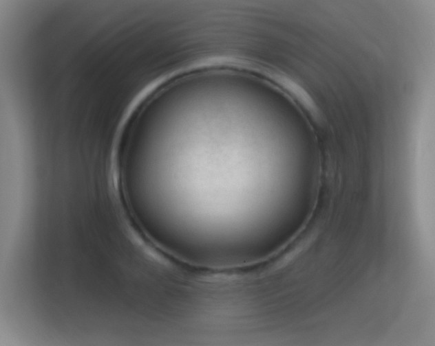X0000113860888200909241305
