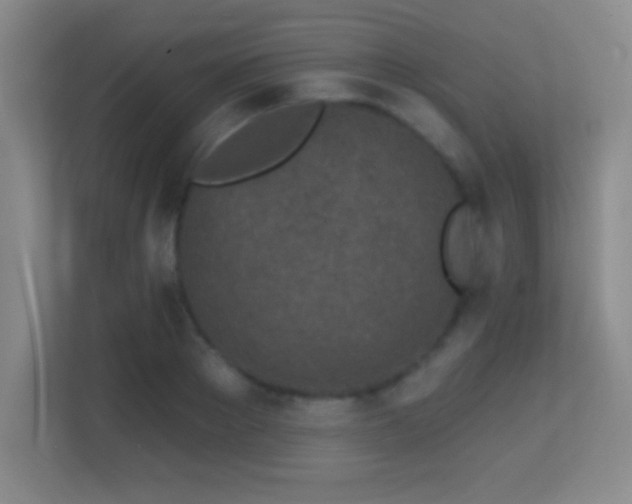 X0000113860889200909241305