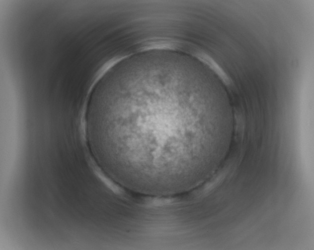 X0000113860890200909241305