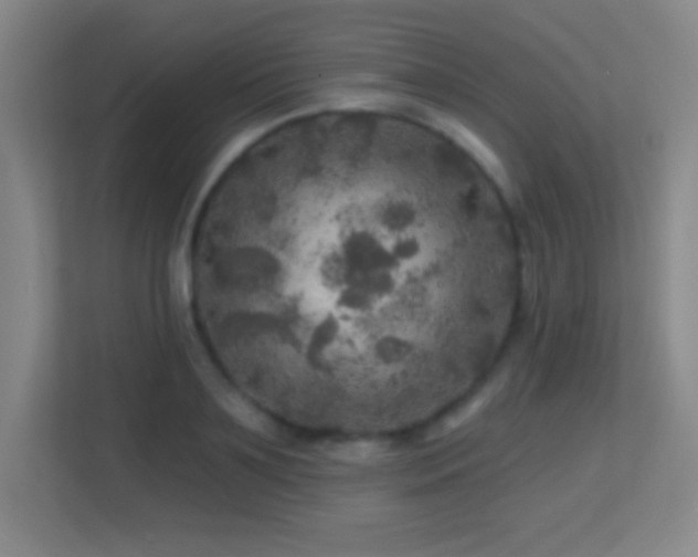 X0000113860891200909241305