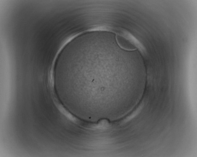 X0000113860892200909241305