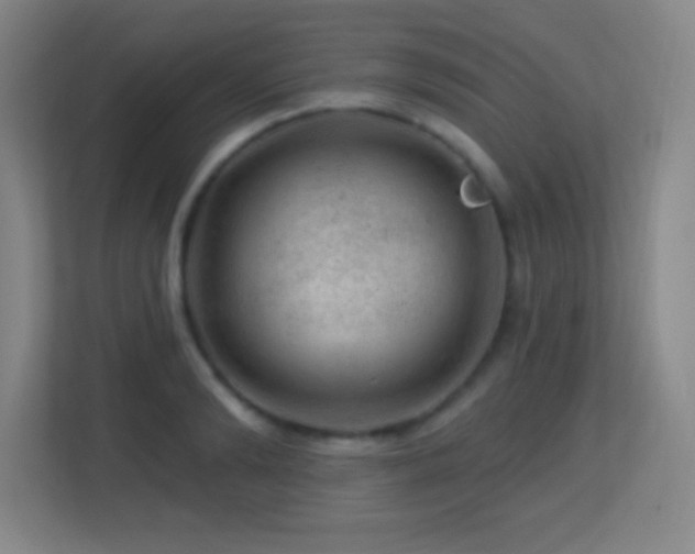 X0000113860894200909241305