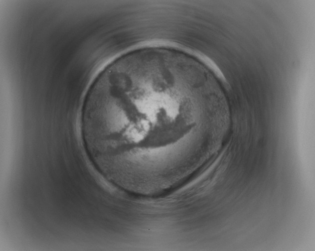 X0000113860895200909241305