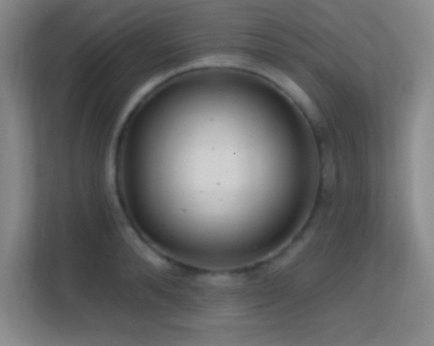 X0000113860896200909241305