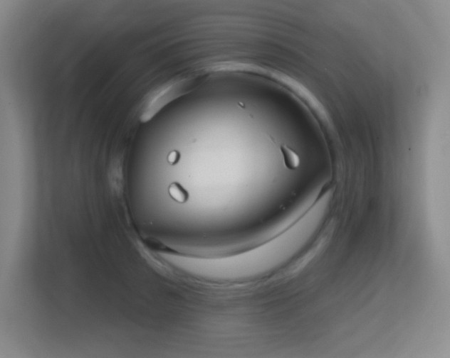 X0000113860897200909241305