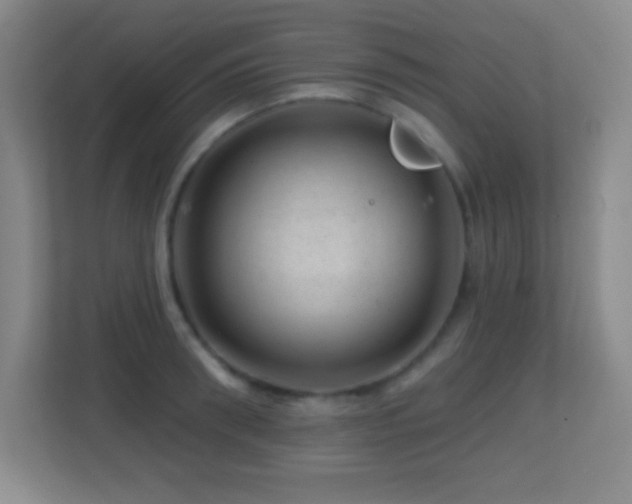 X0000113860898200909241305