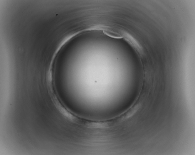 X0000113860900200909241305