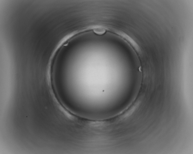 X0000113860902200909241305