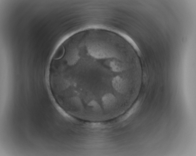 X0000113860903200909241305