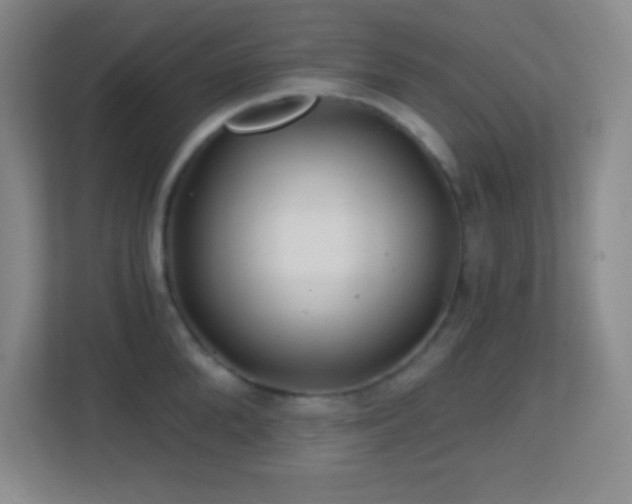 X0000113860904200909241305