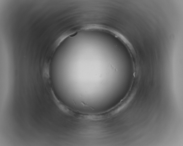 X0000113860905200909241305