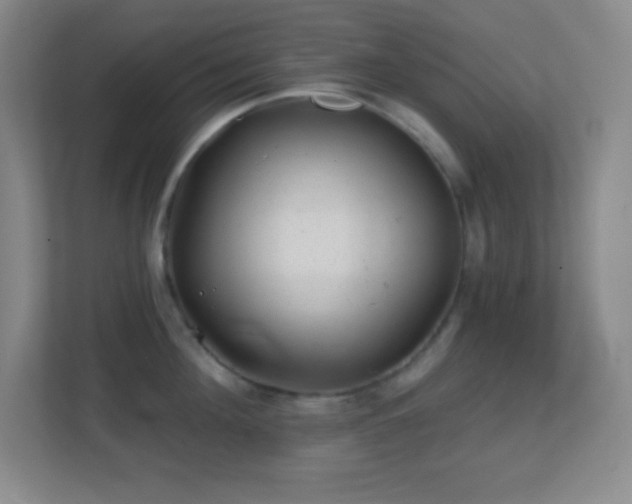 X0000113860908200909241305