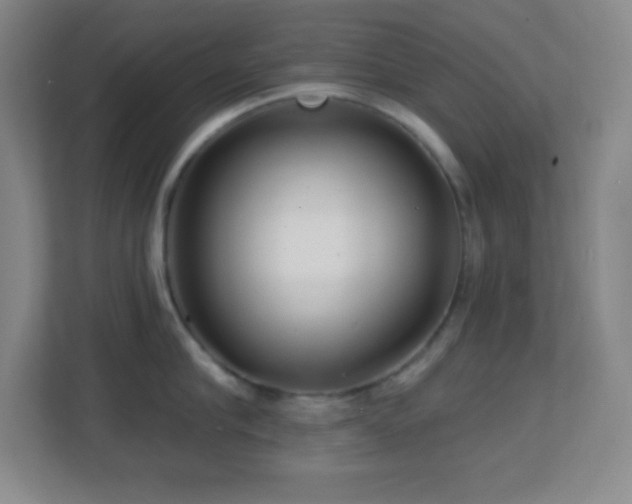 X0000113860910200909241305