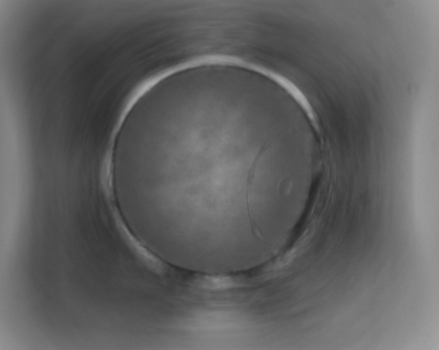 X0000113860911200909241305