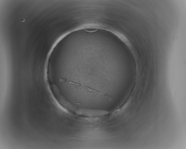 X0000113860912200909241305