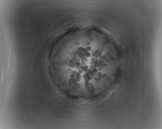 X0000113860913200909241305