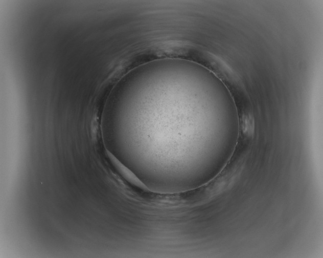 X0000113860915200909241305