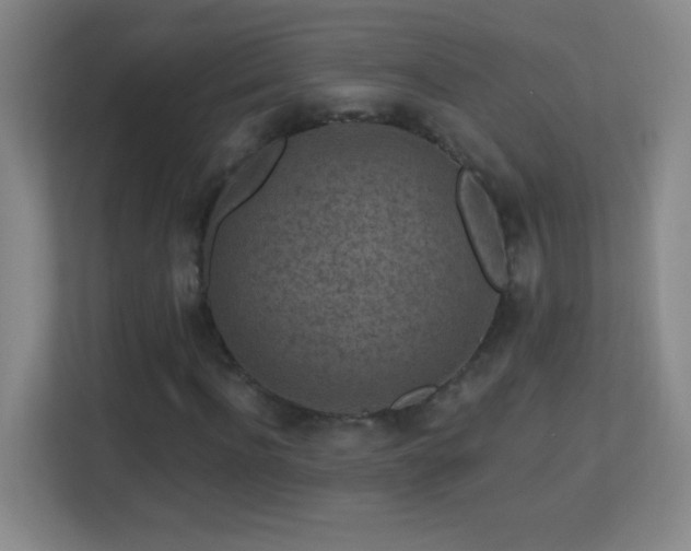 X0000113860916200909241305