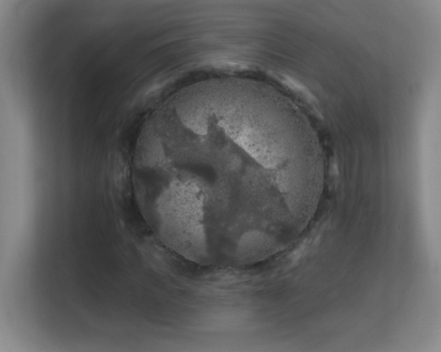 X0000113860917200909241305