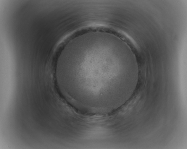 X0000113860919200909241305