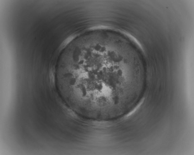 X0000113860921200909241305