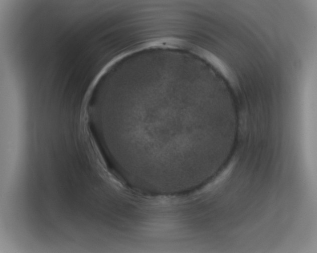 X0000113860923200909241305