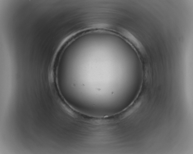 X0000113860924200909241305