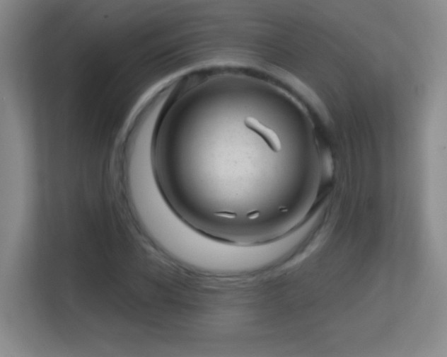 X0000113860926200909241305