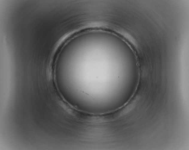 X0000113860927200909241305