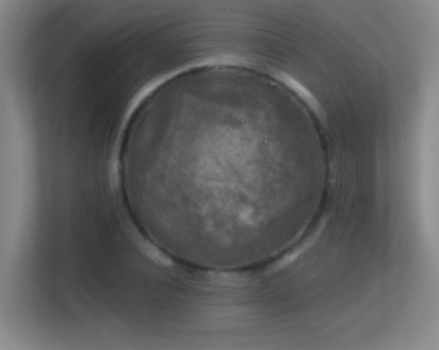 X0000113860928200909241305
