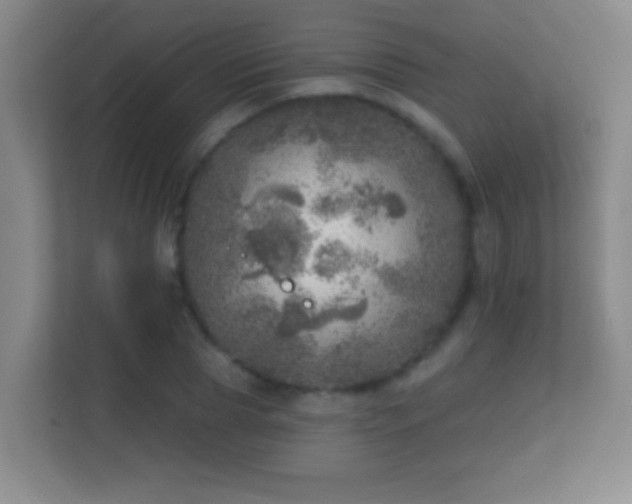 X0000113860929200909241305