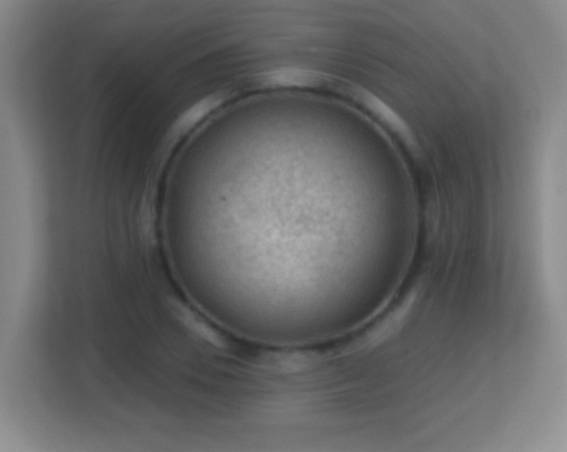 X0000113860930200909241305
