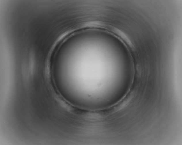 X0000113860931200909241305