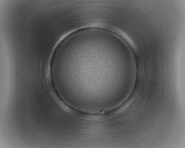 X0000113860932200909241305